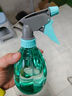喷壶浇花浇水喷雾器气压式喷水壶家用园艺养花500ml 南瓜喷壶透蓝【1个装】 实拍图