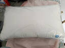 水星家纺枕头枕芯酒店枕头护颈枕头芯家用一对纯棉抗菌可水洗低枕48x74cm 实拍图