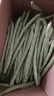 农家四季豆新鲜现摘云南长扁豆角农家应当季蔬菜芸豆现摘菜豆 新鲜四季豆3斤带箱 实拍图
