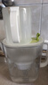 碧然德（BRITA） 家用滤水壶 净水壶滤芯 Maxtra 多效滤芯 3枚装 实拍图