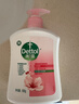 滴露（Dettol）洗手液滋润250g 儿童洗手液抑菌消毒宝宝 水润补充装尝鲜 实拍图