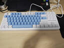 前行者【立省15%】X87Pro/Ultra无线机械键盘有线蓝牙三模gas客制化游戏电竞磁轴办公专用侧刻电脑笔记本 碧空蓝-筋斗云轴-混光有线升级版-满配填充 实拍图