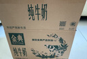 伊利【新鲜日期】金典纯牛奶早餐奶整箱250ml*16盒 3.6g乳蛋白 礼盒装 实拍图