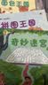 深见春夫睡得香想得美图画书系列全10册 亲子儿童图画本3-6岁幼儿园小中大班幼儿启蒙早教阅读书籍宝宝故事书睡前故事读物绘本 深见春夫“想得美”图画书系列·拼图王国 实拍图