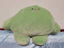纺宠园软萌糯米团子治愈系可爱动物毛绒玩具卡通抱枕公仔节日礼物生日女 绿恐龙团子 大号抱枕40cm 实拍图