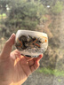 不拙大师级钛瓷茶杯主人杯高档个人专用单杯陶瓷父亲节礼物祥龙杯 实拍图