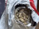 网易严选猫用薄荷饼干宠物幼猫成猫猫咪零食饼干兔肉磷虾味 95克 实拍图