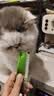 珍致猫零食猫条 鸡肉南瓜10g*4支 进口猫湿粮肉泥 喵酱之吻系列 实拍图