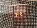安德玛（Under Armour）骑行冰丝防晒面罩男面巾围脖套魔术头巾女防风尘骑车装备均码深蓝 实拍图