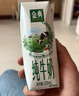 伊利金典纯牛奶整箱 200ml*24盒 3.6g乳蛋白 原生高钙 礼盒装 实拍图
