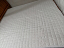 洁丽雅大豆夹棉床笠单件床罩新款席梦思床垫保护罩防尘罩防滑床单套床裙 本白【A类标准 可裸睡】 180cm*200cm 单床笠 实拍图