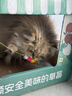 BNBNO猫咪悠悠球猫玩具自动逗猫棒自嗨解闷神器小猫消耗体力用品 实拍图