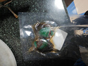 鲜冻鲍鱼500g鲜活冷冻鲍鱼去壳鲍鱼海鲜水产非即食鲍鱼 精品带壳大鲍鱼500g【5-9只/斤】 实拍图