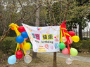 欧妮姿生日场景布置生日气球道具氛围布置场景派对装饰生日快乐条幅套餐 实拍图