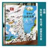 凯迪克金奖绘本：我遇见了一只小灰狼（1本神奇的无字书，1001种爱的讲法！听孩子讲述“爱” 小读客出品） 童书  实拍图