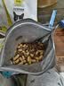 LEGENDSANDY蓝氏猫粮猎鸟乳鸽全价猫粮冻干生骨肉成猫幼猫通用型1斤装试吃 猎原乌鸡1斤装【均衡营养】 实拍图