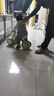 贝博氏babybox儿童平衡车1-3岁幼儿防侧翻四轮滑步车滑行车宝宝周岁礼物 实拍图