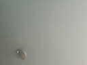 景硕青钱柳玉米须茶桑叶茶血压血糖三高降苦瓜高血压血脂三通茶绞股蓝 实拍图