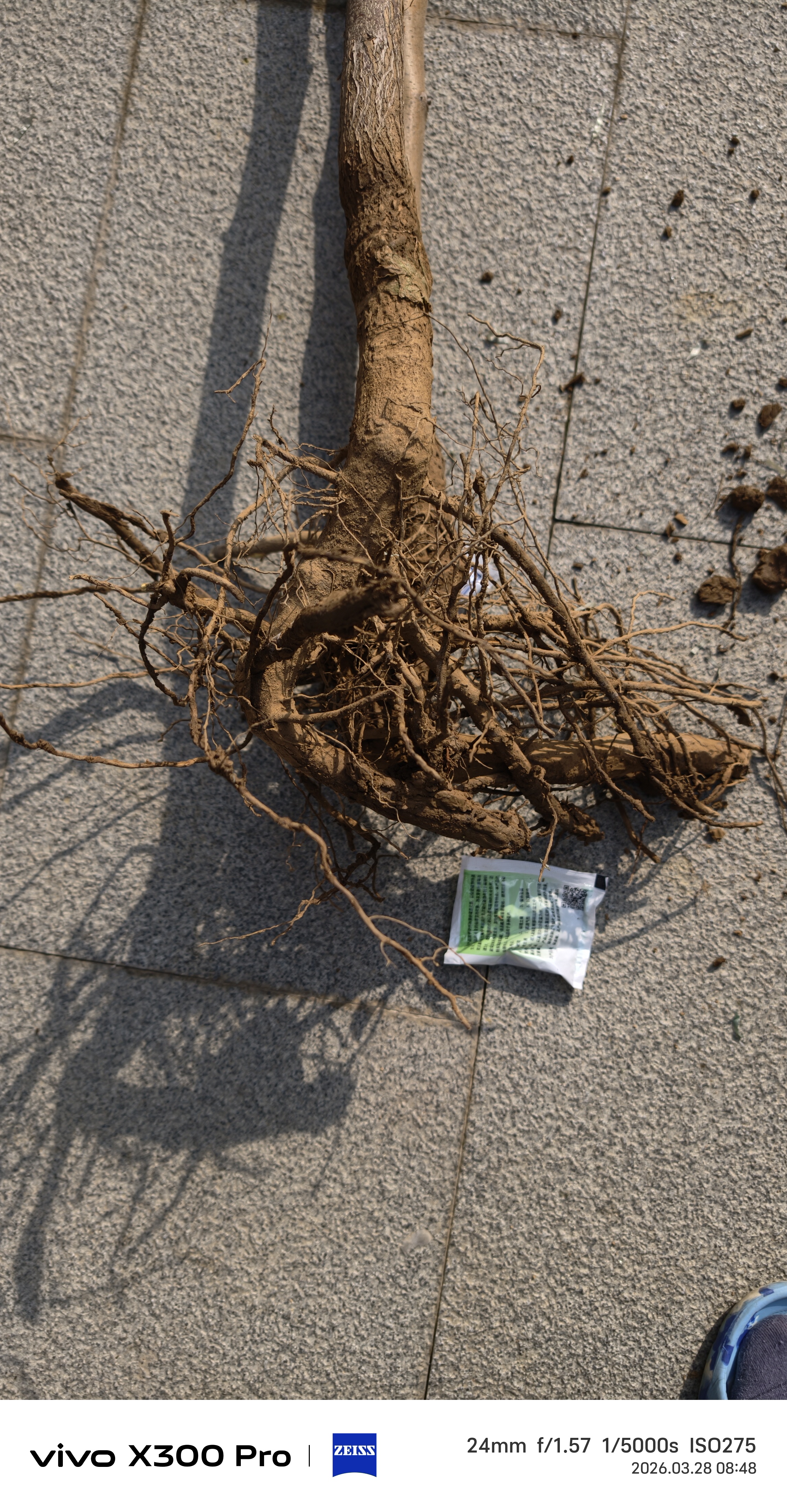 种菜果树植物通用复合肥肥料有机肥绿植花卉浓缩营养液营养土椰砖 复合肥1袋 实拍图