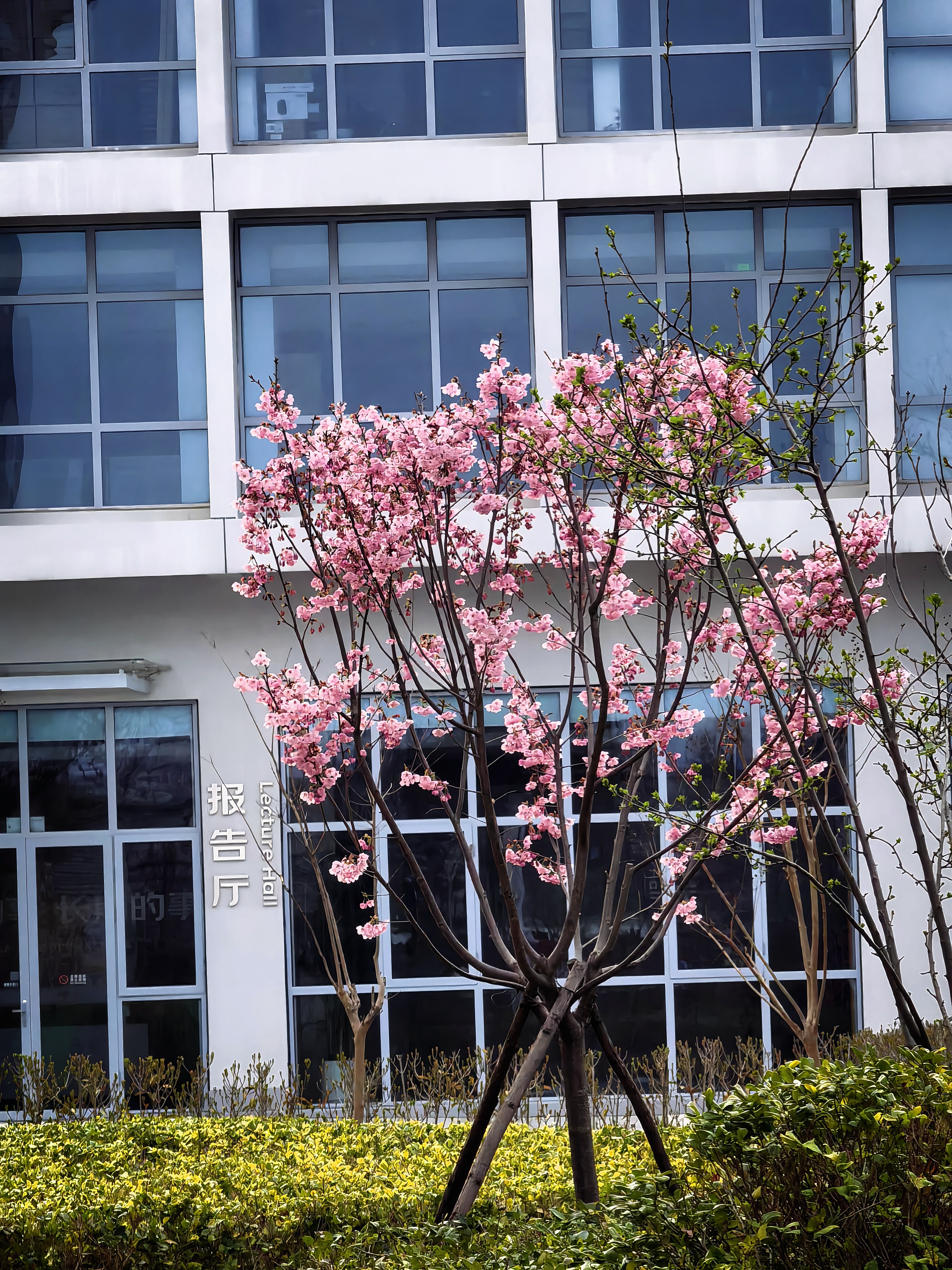 米乐奇一次性防尘罩沙发全盖全包松紧束口床罩装修家用家具防灰遮蔽膜（适用220*200*90cm床） 实拍图