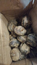【东东买菜】新鲜马蹄荸荠当季现挖直发荸荠水果包邮脆甜多汁 新鲜马蹄 带箱1斤 实拍图