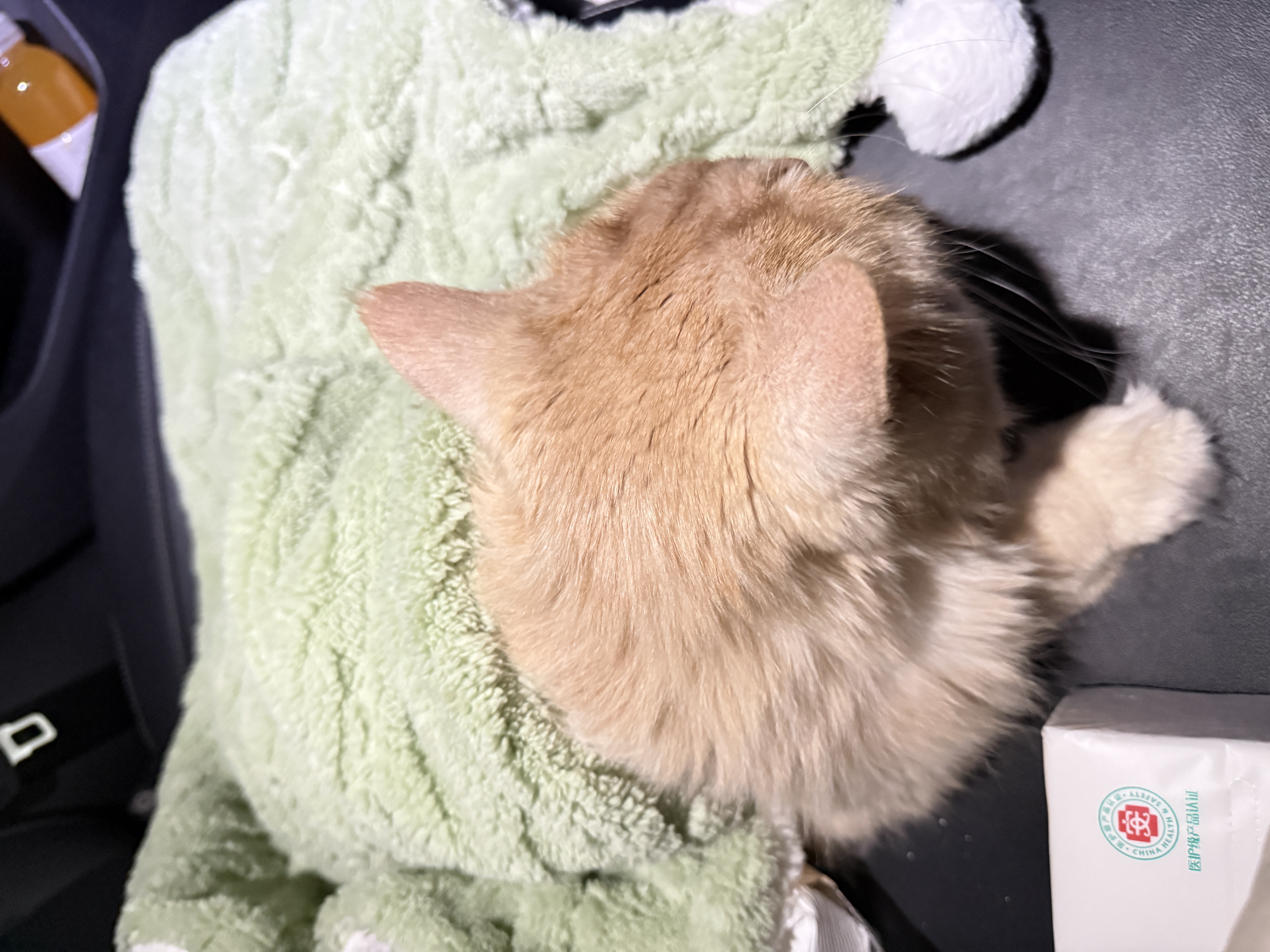 HOUYA猫隧道加长款可折叠彩虹猫咪跑道宠物用品通道钻洞猫玩具自嗨解闷 实拍图