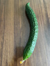 长黄瓜约600g 实拍图