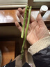 绿食者 新鲜芦笋500g 龙须菜 嫩绿芦笋农家自产去白根新鲜蔬菜 实拍图