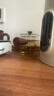 忆壶茶泡茶壶玻璃煮茶壶器茶水分离侧把壶电陶炉专用烧水壶一人用分茶具 实拍图