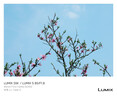 松下（Panasonic）Lumix S5M2 全画幅相机 L卡口 微单相机 无反数码相机 【2060原封套机】+【85mmF1.8白盒】套装 实拍图