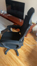 锦汐 电脑椅家用办公椅子靠背人体工学椅学习转椅老板座椅游戏电竞椅 【可后躺+乳胶】黑框黑网-焕新款 实拍图