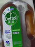滴露（Dettol）消毒液250ml 衣物消毒水家居环境地板消毒 衣物除菌剂 灭活HPV16 实拍图