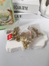 信盛堂南京同仁堂茉莉花陈皮茯苓茶排浊香体茶祛湿茶包健脾养胃下火花茶 实拍图