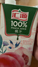 汇源100%桃汁果汁饮料1Lx5盒礼盒送礼宴请餐桌果蔬汁饮料聚餐畅享 实拍图
