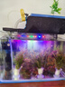 鱼缸灯led灯防水超亮全光谱三色小水族箱潜水专用彩灯灯管 5W三色变光24cm（30-40cm缸用） 实拍图