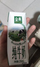 伊利金典纯牛奶整箱 200ml*12盒 3.6g乳蛋白 原生高钙 礼盒装 实拍图