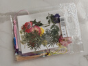 佳茉【热门商品】透明干花书签手工diy材料标本pvc塑封膜创意树叶压花瓣瓶小学生收集春天五一劳动节 实拍图
