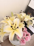 AB级优质香水百合鲜花水培插花家庭生活水养鲜切玫瑰云南产地直发 高品质【AB级黄色】香水百合10朵+保鲜剂+大花苞 实拍图