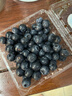 怡颗莓Driscoll's 云南蓝莓14mm+ 4盒装 约125g/盒 新鲜水果 实拍图