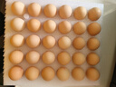京鲜生 无抗保洁鲜鸡蛋30枚/盒 健康轻食 礼盒送礼 1.5kg/盒 源头直发 实拍图