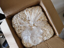 布卡星仓鼠白杨木刨花垫料木屑垫料金丝熊吸尿造景用品中号1kg 实拍图