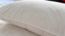 富安娜枕头芯纯棉面料成人枕酒店枕芯纤维软枕 中枕一个装74*48cm 实拍图
