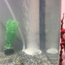 森森增氧泵家用充氧泵鱼缸增氧机超静音小型打氧机养鱼鱼缸氧气泵220V 【二代更静音】4W单孔50mm单细化套餐 实拍图
