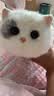 WALULU陪伴智能机器人电子宠物仿生猫咪AI情感毛绒玩具桌面迷你玩伴养成系语音对话潮流节日中秋礼物女生 京仓直送【雪域白】超柔亲肤 陪伴治愈 仿生萌宠 实拍图
