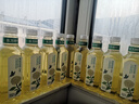农夫山泉东方树叶茉莉花茶500ml*15瓶无糖茶饮料0糖0脂0卡整箱装 实拍图
