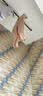 英氏（YEEHOO）婴儿衣服秋冬双面绒保暖男童女童连体衣爬服哈衣宝宝衣服 实拍图