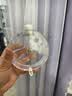 比克熊鹦鹉撞针水壶小鸟饮水器自动喂水神器虎皮玄凤喝水专用品330ml 实拍图