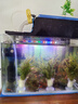 鱼缸灯led灯防水超亮全光谱三色小水族箱潜水专用彩灯灯管 5W三色变光24cm（30-40cm缸用） 实拍图