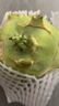 言片光新鲜苤蓝 芥兰 芥菜头 农家自种时令生鲜蔬菜 3斤装【鲜嫩脆甜】现砍现发 实拍图