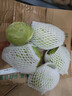 言片光新鲜苤蓝 云南青芥兰 芥菜头 农家自种现砍现发时令生鲜蔬菜 净重2斤装【鲜嫩脆甜】现砍现发 实拍图
